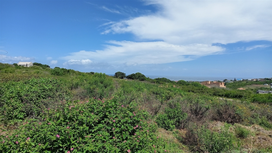 0 Bedroom Property for Sale in Forest Downs Eastern Cape